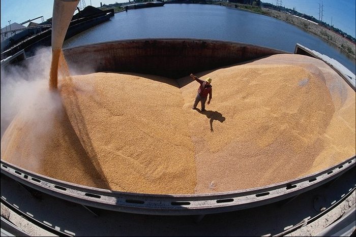 Россия после введения пошлины снизила экспорт пшеницы на 34%
