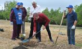 Севастопольские партийцы высадили Аллеи памяти погибших воинов