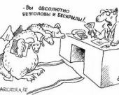 Из жизни дракончиков