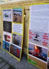 В годовщину катастрофы в Керченском проливе в Сочи прошел пикет