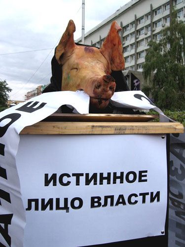 �������� ���� ������