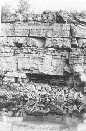 ������ ��������