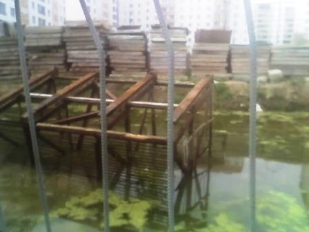 ������, ��������� ������