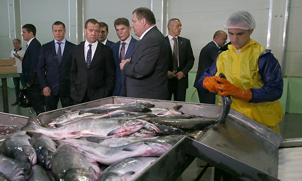 Фото: Екатерина Штукина/РИА Новости