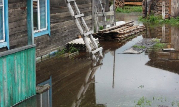 Фото: amur.er.ru