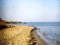 На косе Тузла обнаружены тела трех российских моряков