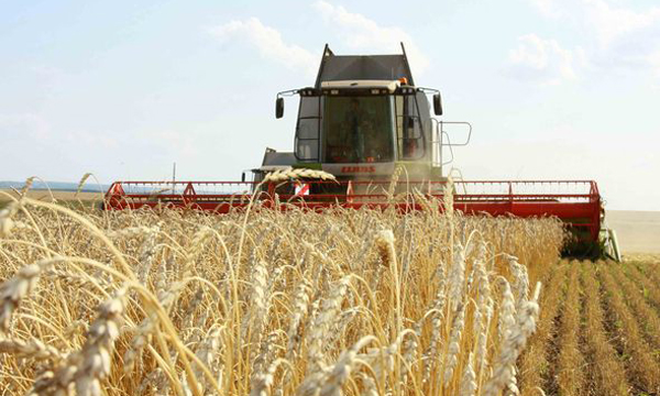 Фото: ИТАР-ТАСС