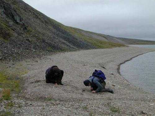 type:, atr:,, title:Озеро «нетающего льда» поведает о будущем планеты