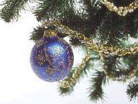 Роструд разъяснил, сколько россияне будут отдыхать в новогодние праздники