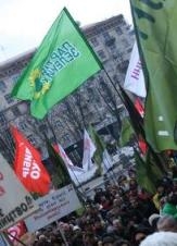 Партия Зеленых поддержала киевлян против незаконных действий киевской власти