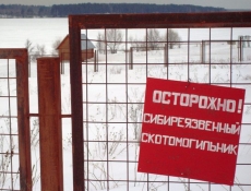 ����������� ���������������� ����� ������� ������������� ��������