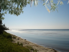 ��� ����� ������� ������������� ��������� ����������� ����?