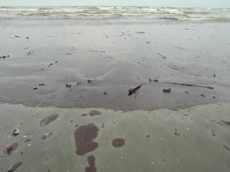 В Прикарпатье реку залило нефтью