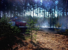 В Запорожской области горел Национальный природный парк