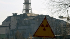 Ученые исследовали биовиды Чернобыльской зоны, которые мутируют больше всего