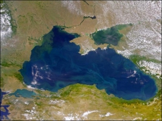 Иностранный теплоход сбросил в Черное море сточные воды