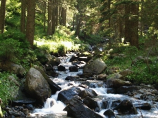 Чрезмерное потребление воды грозит глобальной засухой