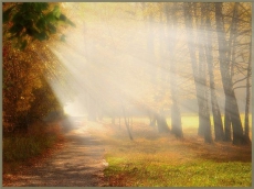 На Житомирщине увеличился природно-заповедный фонд