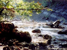 Касперовский заповедник незаконно застраивают