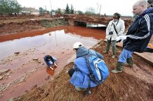 Токсические отходы с Венгрии достигли Дуная