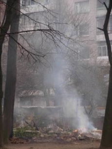 Сжигание листьев опасно для людей и окружающей среды