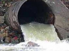 Река Ингулец превращается в сточное болото