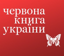 За отстрел краснокнижных уток виновные будут наказаны