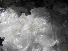 В Луганске решительно борятся с полиэтиленом