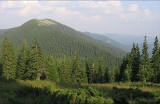 Стартует конкурс на разработку логотипа «Великого Карпатського Бренду»