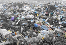 В Украине плодородные земли – места свалки