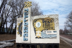 Земли Чернобыльской зоны планируют засеять