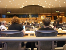 Зеленая европейская политика