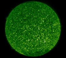 Закарпатскими экологами занялась прокуратура