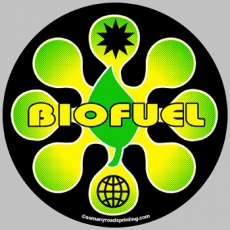 С 2011 года немцы будут ездить на биотопливе