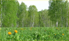 На Тернопольщине в заповеднике самовольно завладели землей