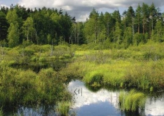 Днепропетровщина: заповедному фонду – тотальный контроль