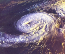 2010 год стал рекордным по числу природных катастроф