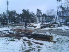 В Киеве уничтожили еще один парк