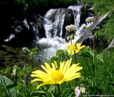 Минприроды приглашает общественность к участию в общественном обсуждении проекта Закона Украины «О внесении изменений в статью 25 Закона Украины «Об Охране окружающей природной среды»