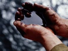 Нефтяное пятно длиной 25 км образовалась в Персидском заливе за аварии на иранском нефтепроводе