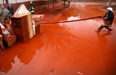 «Алюминиевый шлам» и дальше отравляет притоки Дуная?