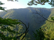 Минэкологии не обременяет себя заботой о заповедниках