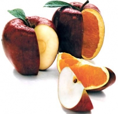 Минэкологии определилось с ГМО