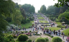 Против директора Нацботсада открыто уголовное дело