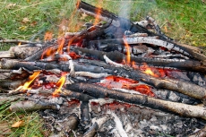 Киеве запретили жечь костры в лесах