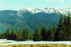 В Братиславе открылось совещание участников Рамочной конвенции по охране и устойчивому развитию Карпат