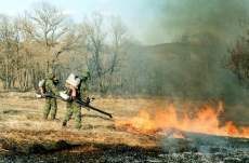 С начала года киевские парки горели 32 раза