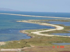 Рабочая группа РАН