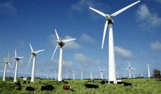 Итальянцы планируют построить в Украине ветропарк