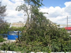 «Как Ясь конюшину…»